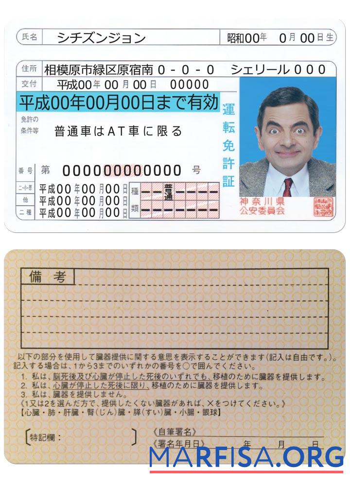 Downloadable Japan driving license version 2 example
